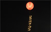 夜光アドバルーン