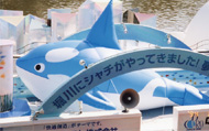シャチアドバルーン
